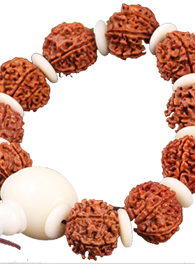 天然尼泊尔7七瓣大金刚菩提子散