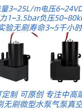 工厂销售 12V 300kpa 无刷气泵 真空保鲜食品 气体采集 4AB12A30R