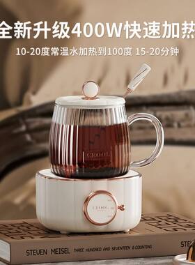 多功能迷你养生壶电炖杯办公室煮茶器电加热杯全自动燕窝炖盅礼品
