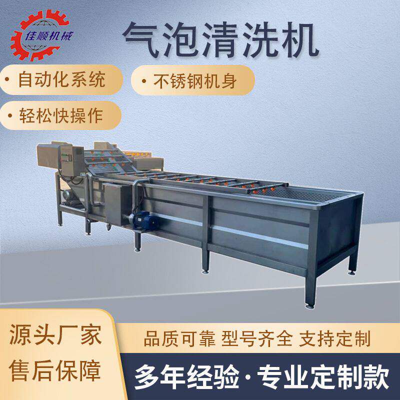 全自动豆角清洗设备 厂家直供鼓泡清洗机 多功能香椿芽清洗机