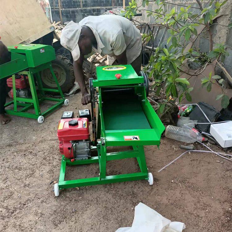 铡草粉碎机220V家用小型玉米秸秆碎草机牛羊鸡鸭养殖电动切草机,五金/工具,碎草机,淘宝优惠券,粉丝福利购,淘宝优惠卷