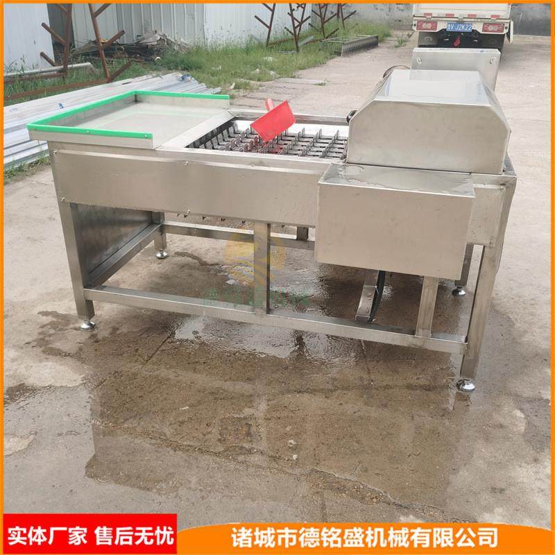 带鱼罐头设备 鲜刀鱼切段机 切割长度可定的带鱼分段机