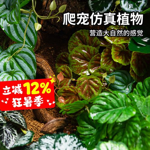 爬宠造景仿真植物爬虫饲养箱装饰