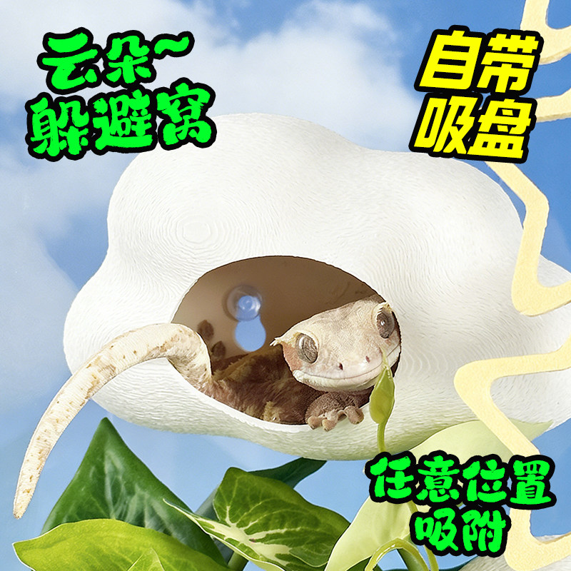 3D云朵睫角守宫躲避屋蜘蛛蛇树蛙洞穴爬宠饲养箱造景装饰悬挂小窝