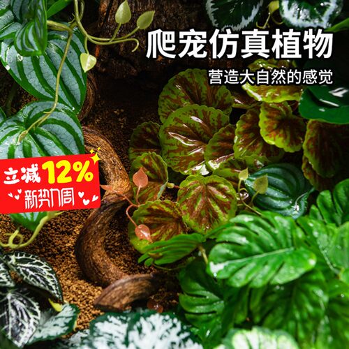爬宠造景仿真植物爬虫饲养箱装饰