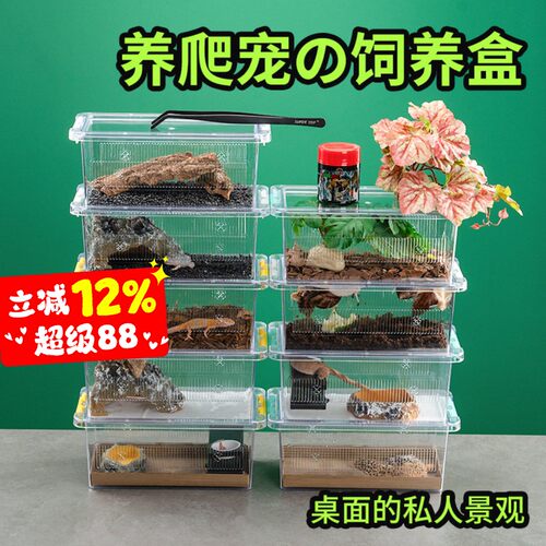 爬宠守宫蜥蜴高透桌面景观饲养盒