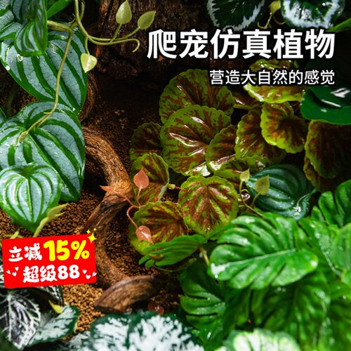 爬宠造景仿真植物爬虫饲养箱装饰