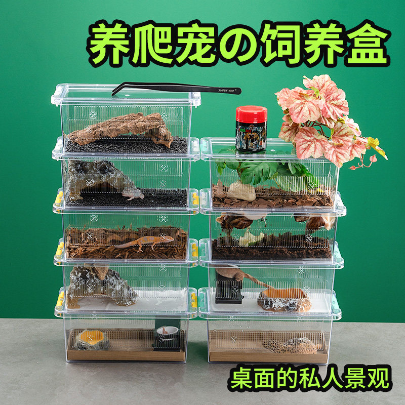 爬宠亚克力桌面饲养盒爬虫睫角守宫箱蜥蜴角蛙蛇蜘蛛生态造景盒子