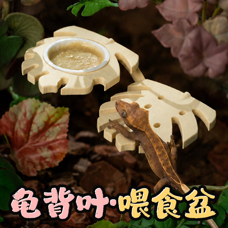 宠维奥睫角守宫攀爬叶片磁吸食盆图片