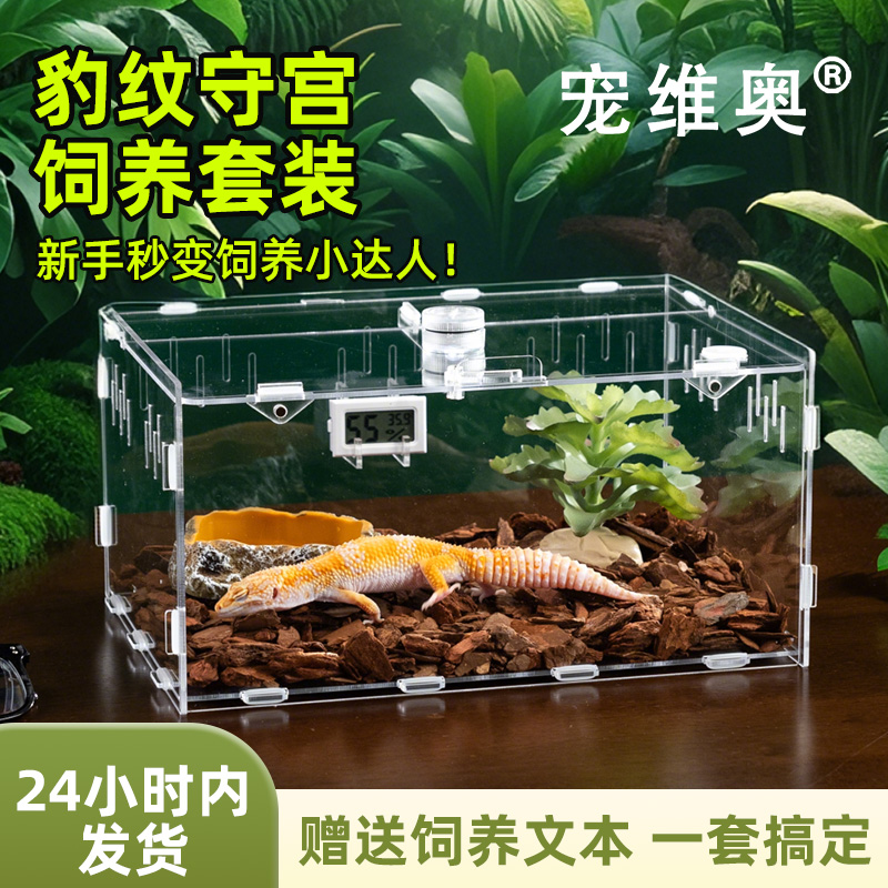 宠维奥桌面景观饲养盒清晰高透