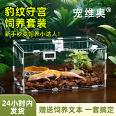 豹纹守宫蜥蜴饲养盒套装 爬宠造景箱亚克力大号蜘蛛昆虫生态盒套餐