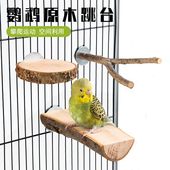 宠维奥玄凤鹦鹉站台花椒木牡丹虎皮花椒木站杆磨爪磨嘴鹦鹉用品