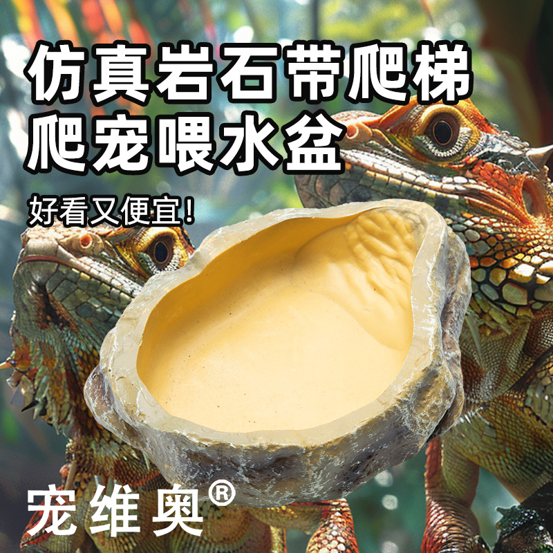 维奥爬宠饲养箱水盆守宫蜥蜴爬虫