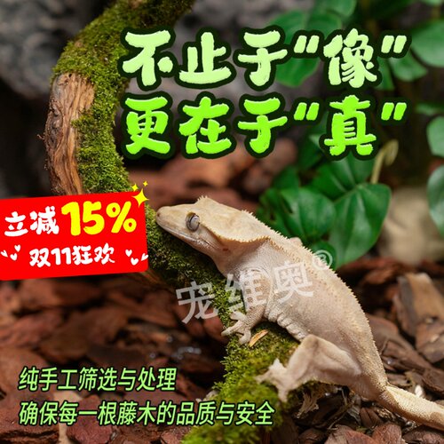 宠维奥爬宠睫角攀爬藤条装饰造景