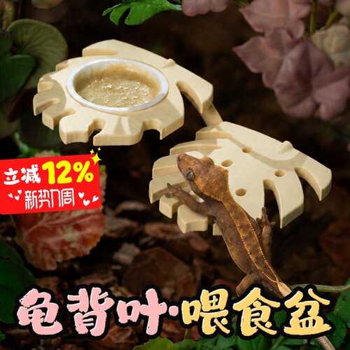 宠维奥睫角守宫攀爬叶片磁吸食盆