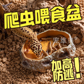 爬宠食盆蜥蜴水盆角蛙宠物蛇类泡澡盆姥爷树蛙饲养箱造景专用水盆
