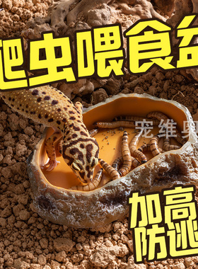 爬宠食盆蜥蜴水盆角蛙宠物蛇类泡澡盆姥爷树蛙饲养箱造景专用水盆