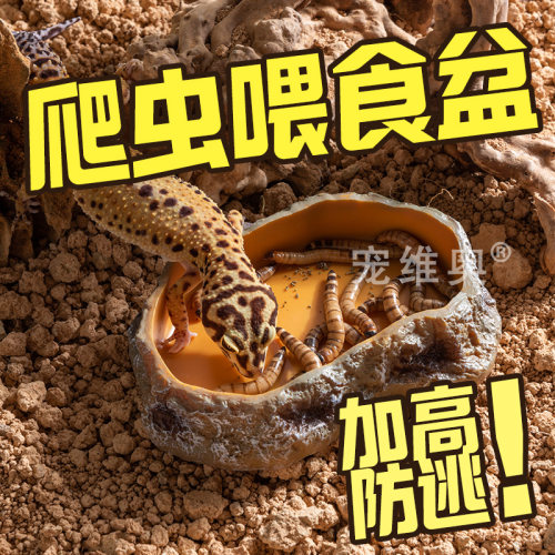 维奥爬宠食盆树蛙蜥蜴专用喂食盆