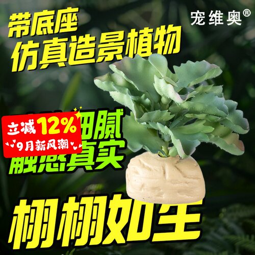 爬宠蜥蜴饲养缸仿真植物造景装饰