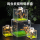 宠物蜘蛛昆虫亚克力饲养盒螳螂蝈蝈迷你爬虫生态盒玲跳蜘鸣虫盒子