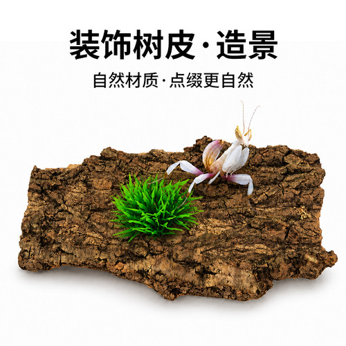 爬宠香槟树皮饲养箱造景躲避树洞