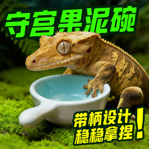 宠维奥爬宠果泥搅拌喂食工具实用