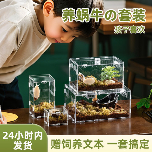 宠维奥蜗牛饲养盒桌面景观盒子