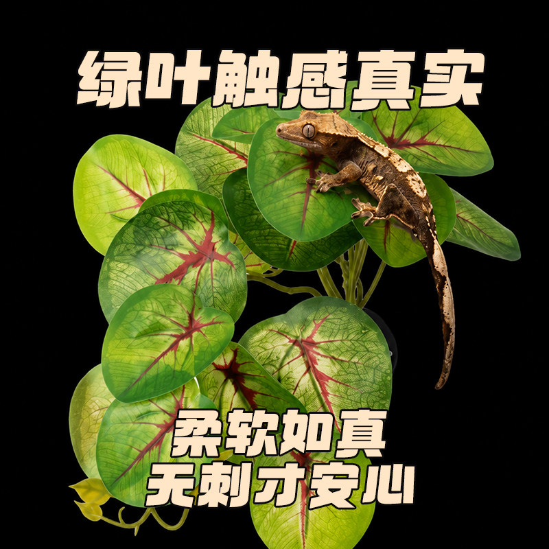 爬宠仿真热带雨林植物造景装饰图片