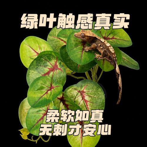 爬宠仿真热带雨林植物造景装饰
