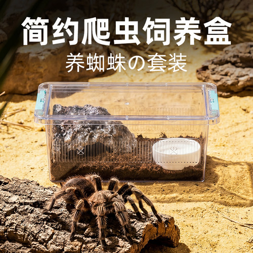 宠维奥蜘蛛饲养盒子全景观赏防逃