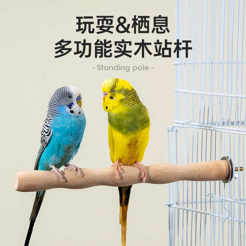 宠维奥鹦鹉站杆实木耐用