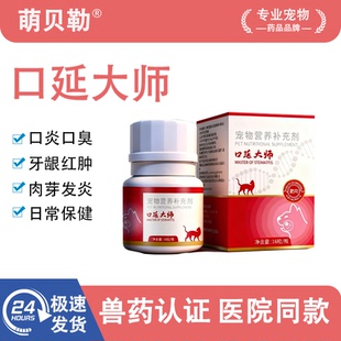 口炎口延大师生物猫咪口延炎流口水杯状病毒口腔牙龈红肿松动