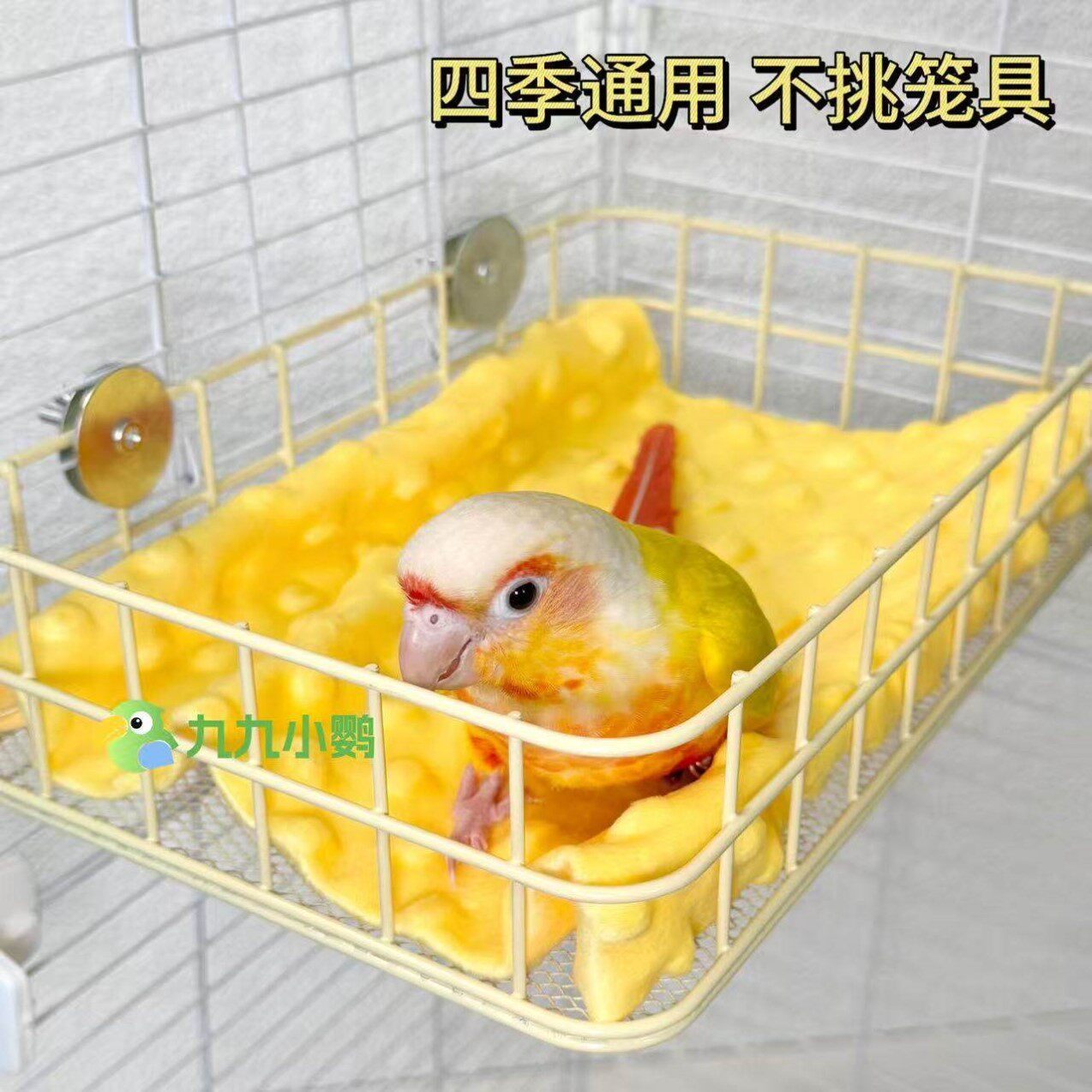 鹦鹉铁艺吊床小太阳虎皮牡丹专用四季通用夏天季睡觉鸟窝悬挂站台