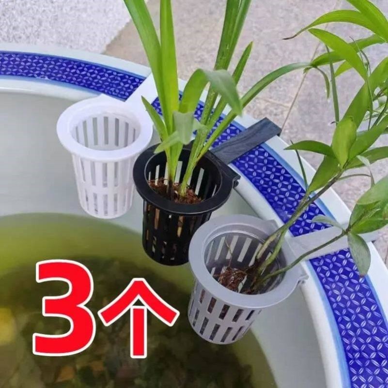 水草固定神器鱼缸水培植物篮定植篮壁挂式种植杯鱼缸造景装饰绿萝