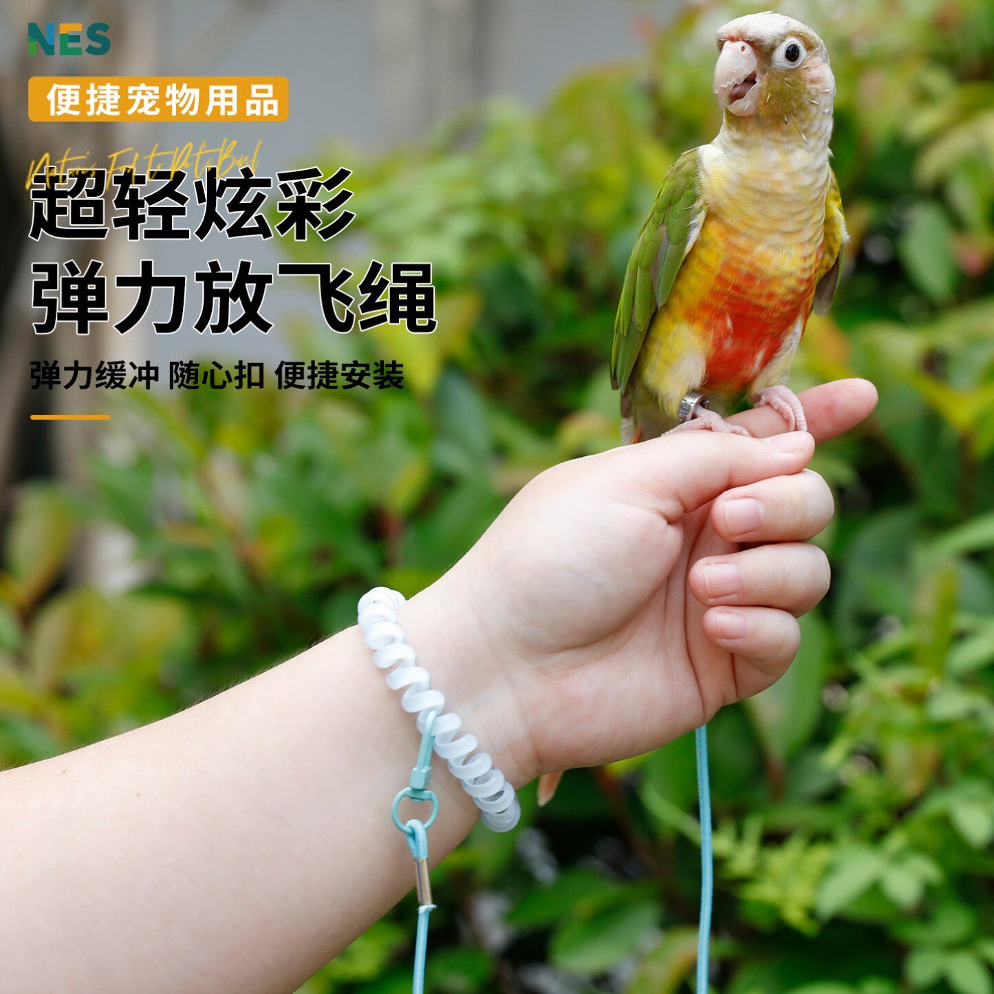 鹦鹉放飞绳不伤脚超轻训练绳虎皮玄凤牡丹八哥脚环脚链遛鸟飞行绳
