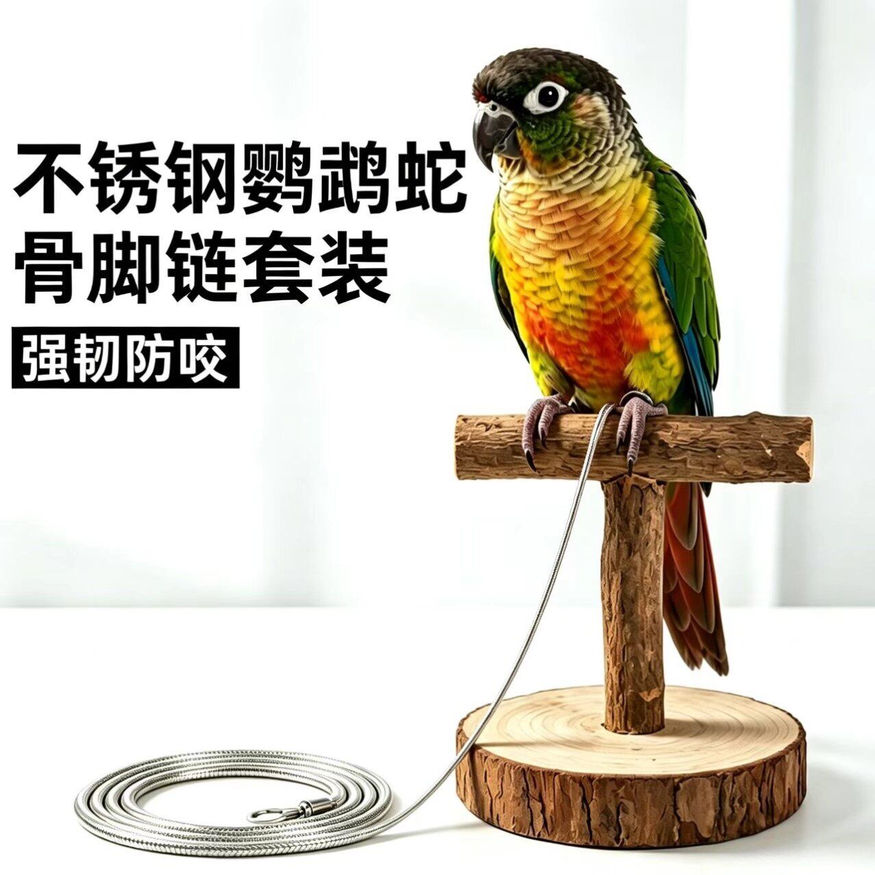 鹦鹉不锈钢脚链脚环脚虎皮玄凤小太阳外出牵引绳遛鸟