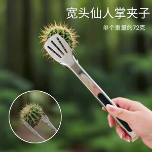 仙人球夹子专用镊子防刺种植夹仙人掌固定园艺用品仙人球种植工具