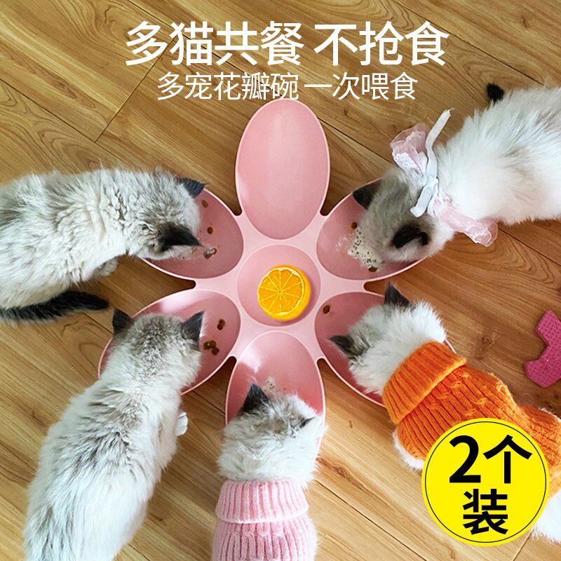 猫碗多猫花瓣食盆幼猫奶猫专用碗幼犬狗碗小猫流浪猫喂食猫咪用品