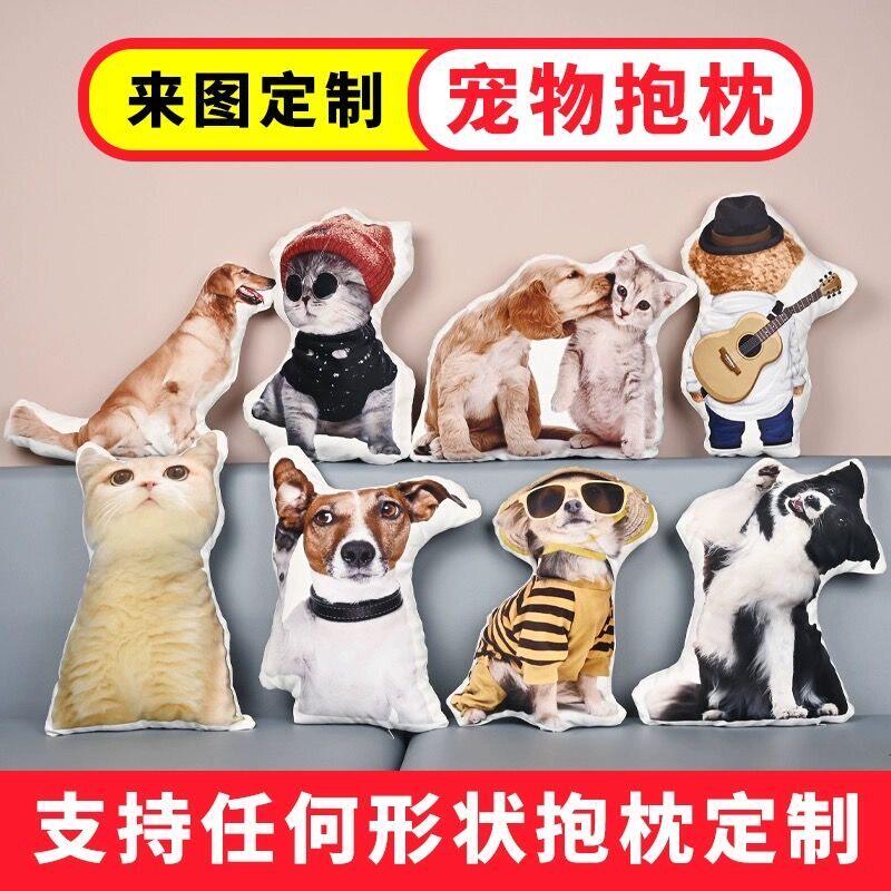 无白边丑猫抱枕定制来图可印照片异形宠物靠枕头猫狗仿真礼物毕设
