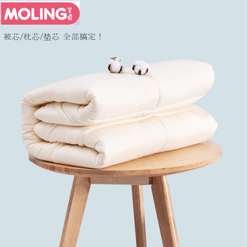 幼儿园午睡宝宝棉花羽丝绒小被子