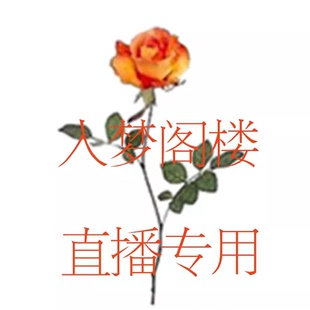 入梦阁楼直播补款定制链接