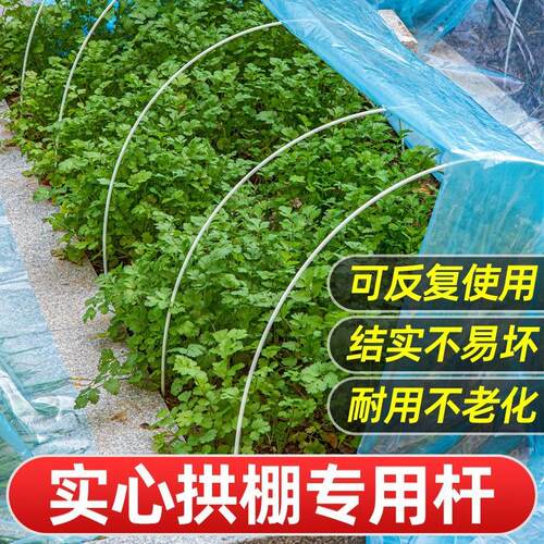 大棚骨架玻璃纤维小拱棚支架搭棚家用蔬菜塑料温室大棚拱杆玻璃钢