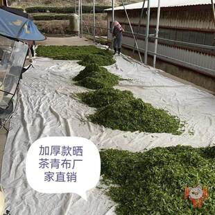 加厚款茶叶晒青布,晒茶青布专用茶叶加工布耐用晾晒布垫