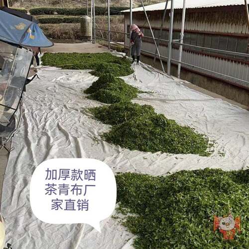 加厚款茶叶晒青布,专用工