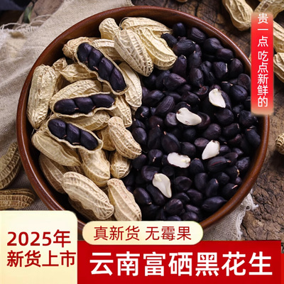 富硒黑花生带壳2025新货云南普洱特产晒干生熟黑皮黑花生米
