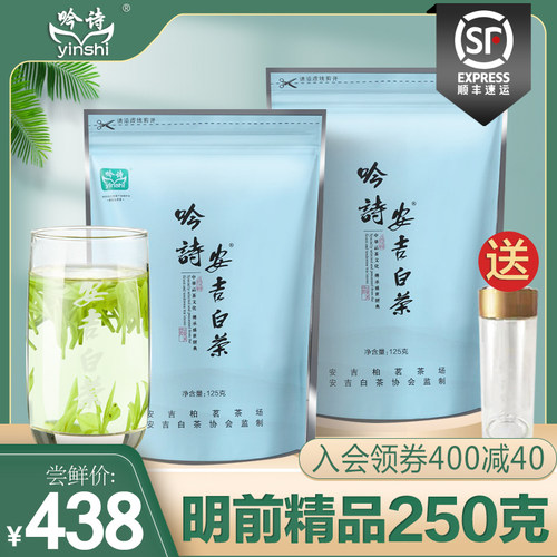 新茶安吉白茶茶叶250g特级高山绿茶春茶正宗