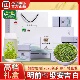 2025新茶正品 安吉白茶叶明前特级250g正宗高山绿茶叶高氨