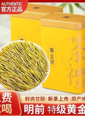2025新茶明前特级黄金芽茶叶安吉原产春茶绿茶浓香耐泡高端礼品茶