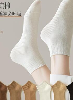 夏季薄款无骨深色袜子女纯棉黑色