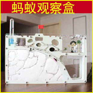 蚂蚁生态箱城堡超大科教科学观察玩具窝蚁巢宠物盒子家园工坊屋缸
